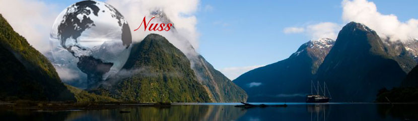 Premium International Removal Services to New Zealand