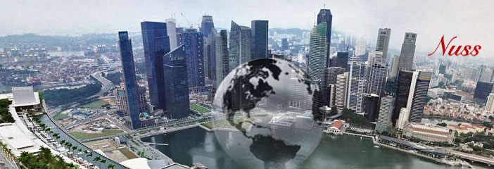 moving to singapore