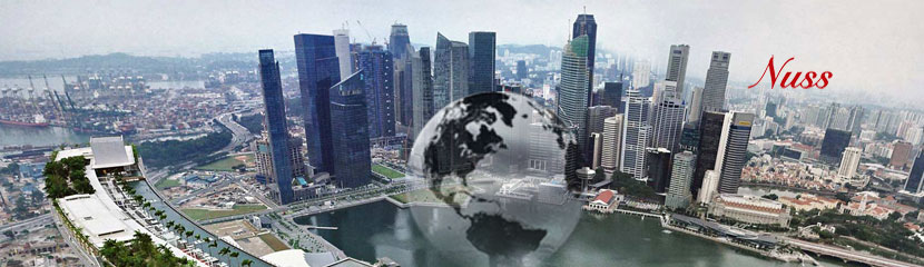 Moving to Singapore