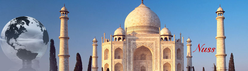 Moving Service to India