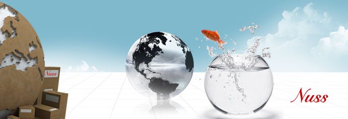removals and relocation