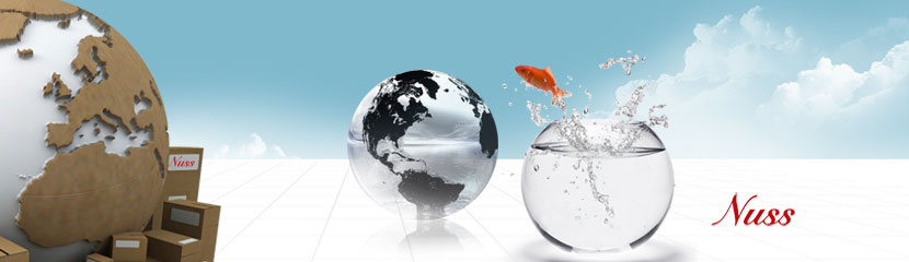 Removals and Relocation Services