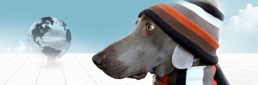Moving Pets to Australia Quarantine Regulations