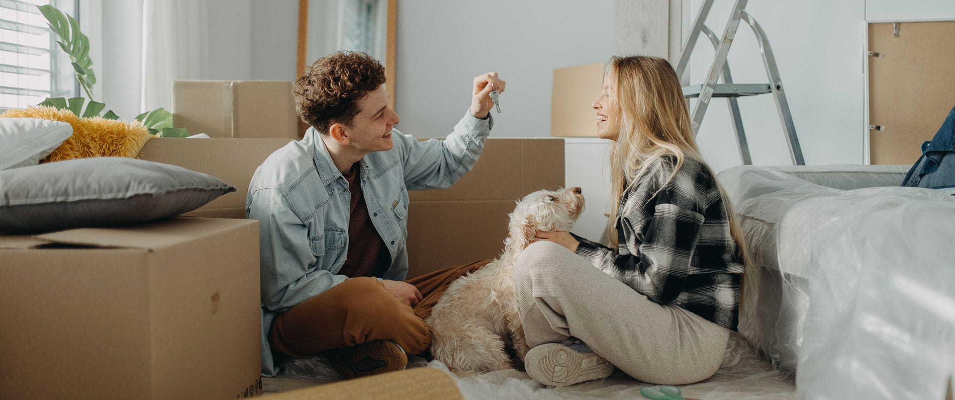 Removalist in Sydney moving artwork