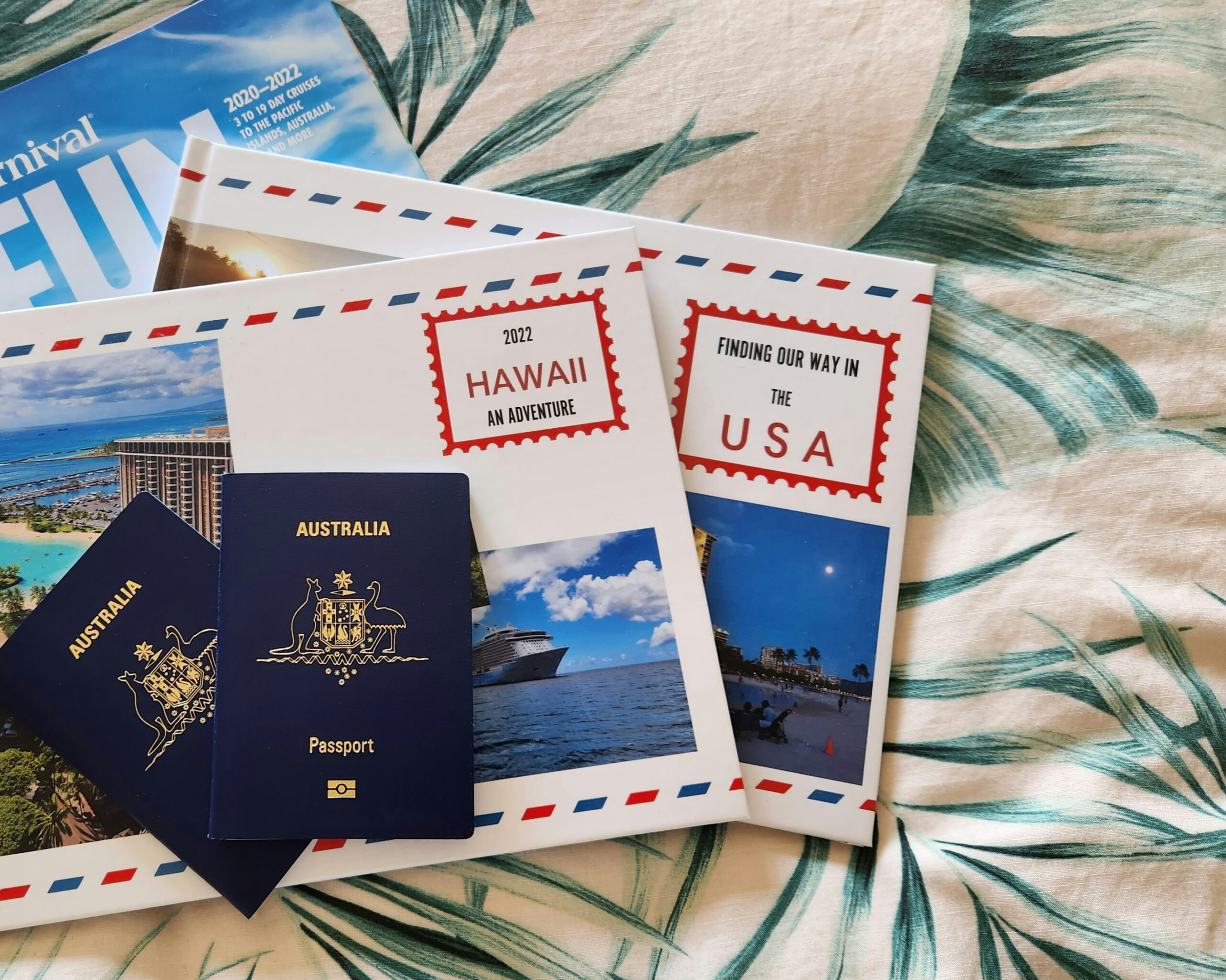 visa1