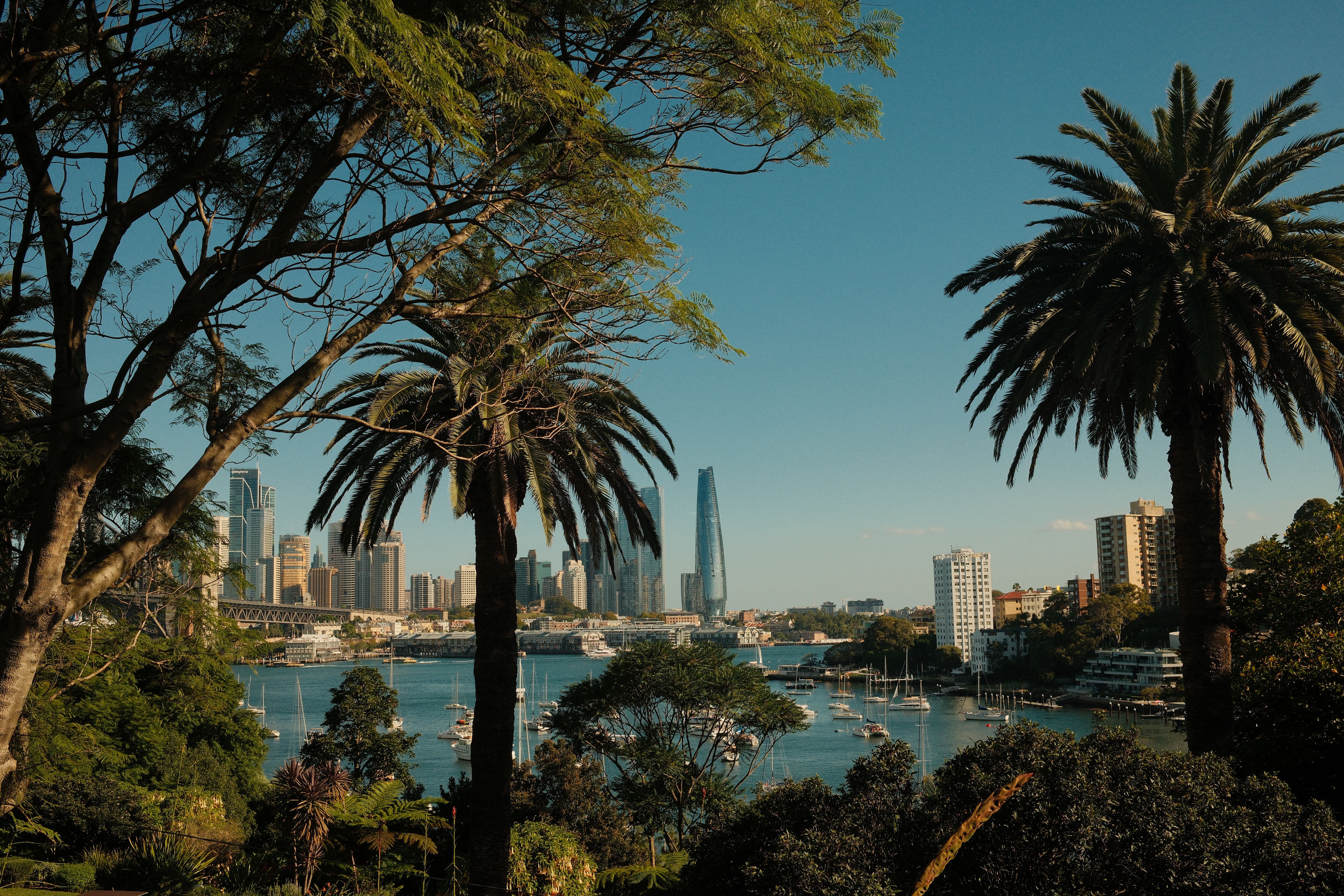 Sydney_Skyline
